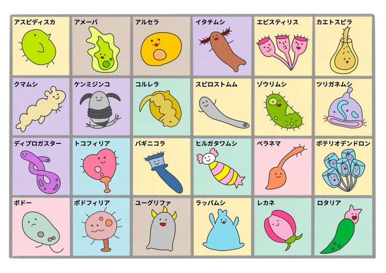 microorganisms