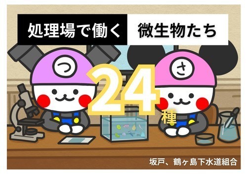 さかげつるげの冒険&微生物紹介