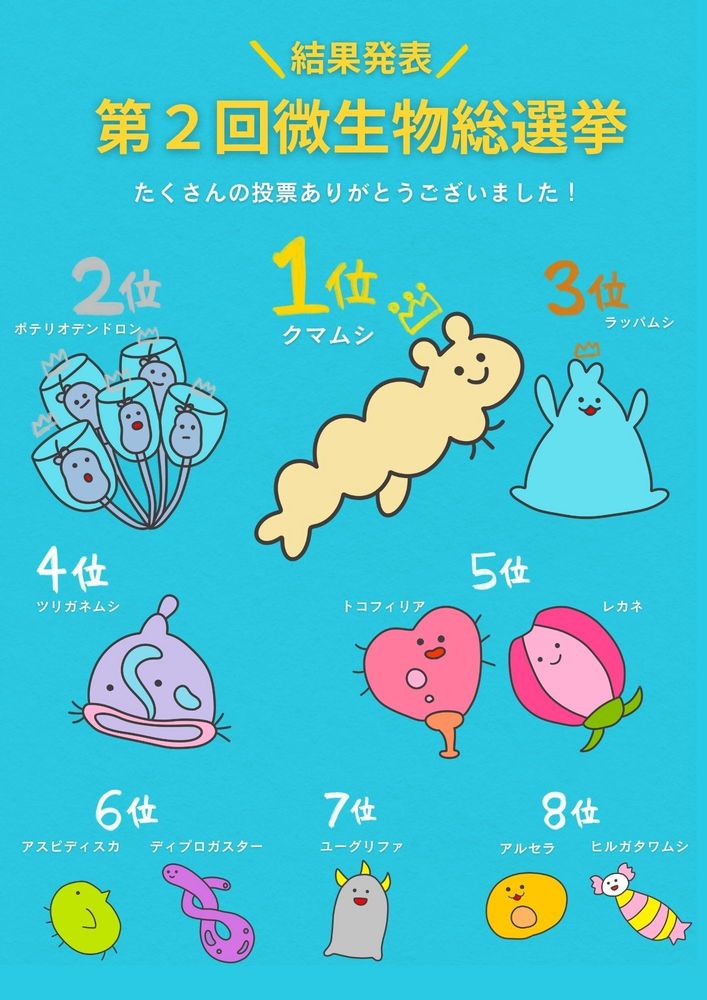 微生物総選挙結果（ポスター）